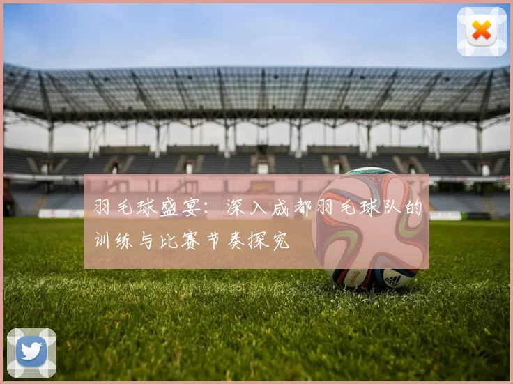 羽毛球盛宴：深入成都羽毛球队的训练与比赛节奏探究