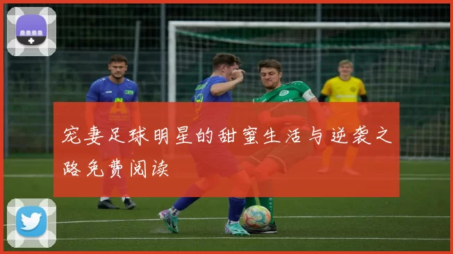 宠妻足球明星的甜蜜生活与逆袭之路免费阅读