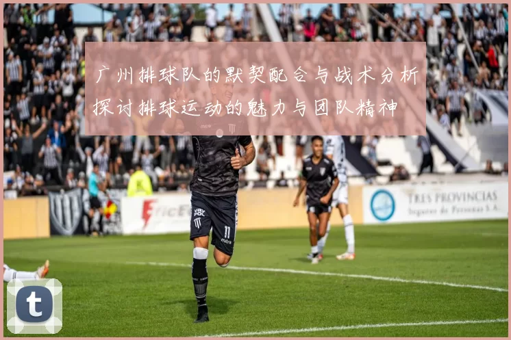 广州排球队的默契配合与战术分析探讨排球运动的魅力与团队精神