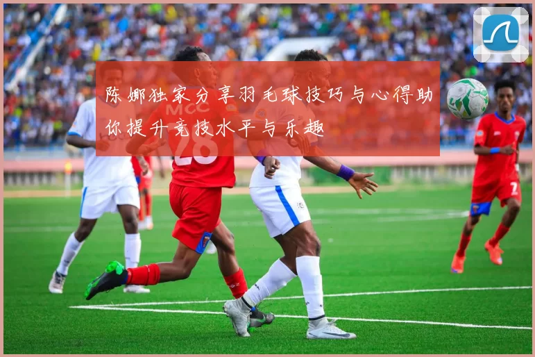 陈娜独家分享羽毛球技巧与心得助你提升竞技水平与乐趣