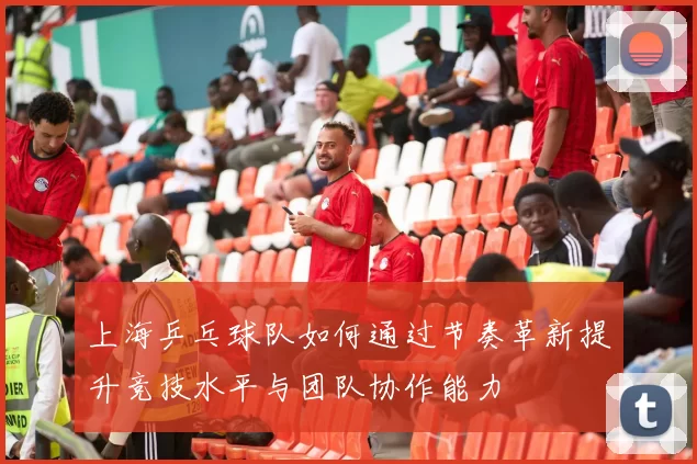上海乒乓球队如何通过节奏革新提升竞技水平与团队协作能力