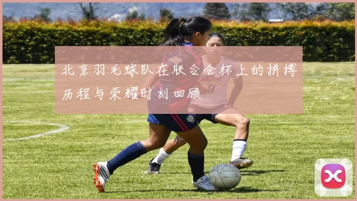 北京羽毛球队在联合会杯上的拼搏历程与荣耀时刻回顾