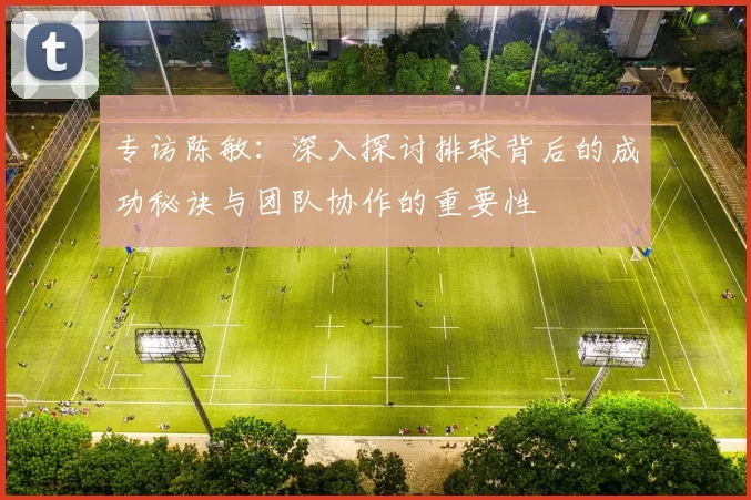 专访陈敏：深入探讨排球背后的成功秘诀与团队协作的重要性