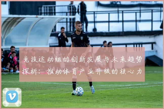 竞技运动组的创新发展与未来趋势探析：推动体育产业升级的核心力量