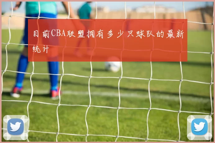 目前CBA联盟拥有多少只球队的最新统计