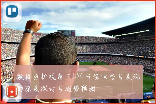 数据分析视角下LNG市场状态与表现的深度探讨与趋势预测