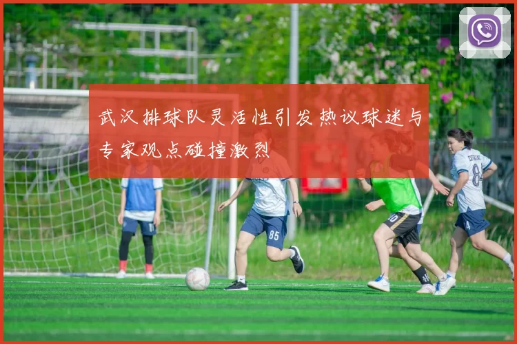 武汉排球队灵活性引发热议球迷与专家观点碰撞激烈