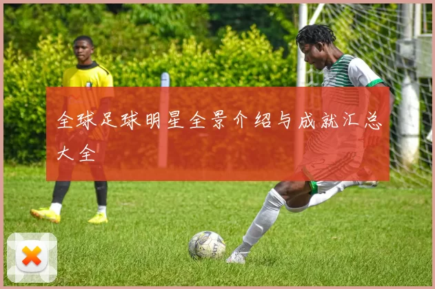 全球足球明星全景介绍与成就汇总大全