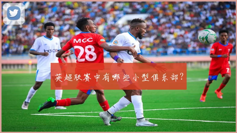 英超联赛中有哪些小型俱乐部？