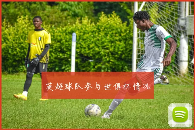 英超球队参与世俱杯情况