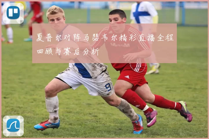 夏普尔对阵马瑟韦尔精彩直播全程回顾与赛后分析