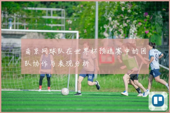 南京网球队在世界杯预选赛中的团队协作与表现分析
