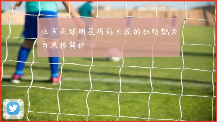 法国足球明星鸡冠头发的独特魅力与风格解析