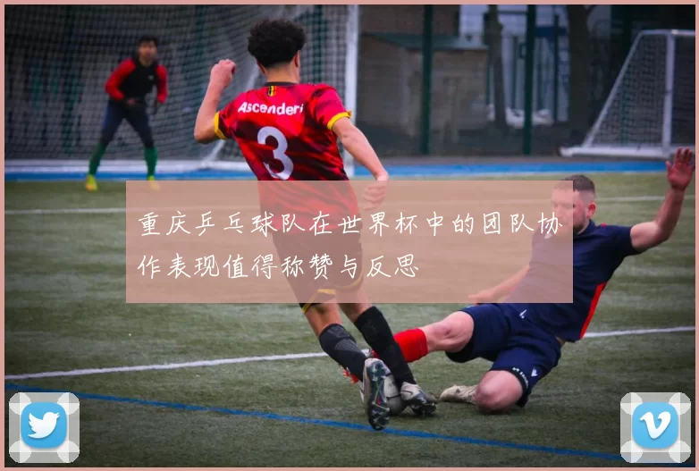 重庆乒乓球队在世界杯中的团队协作表现值得称赞与反思