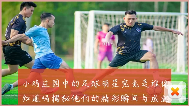 小鸡庄园中的足球明星究竟是谁你知道吗揭秘他们的精彩瞬间与成就