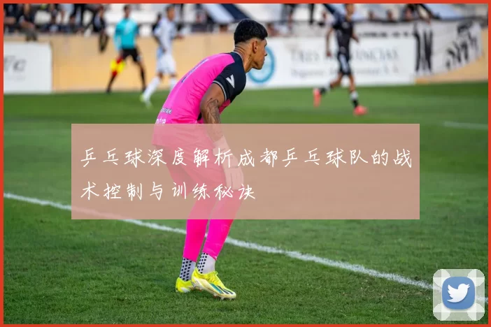乒乓球深度解析成都乒乓球队的战术控制与训练秘诀