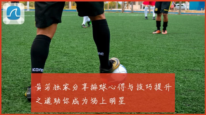 黄芳独家分享排球心得与技巧提升之道助你成为场上明星