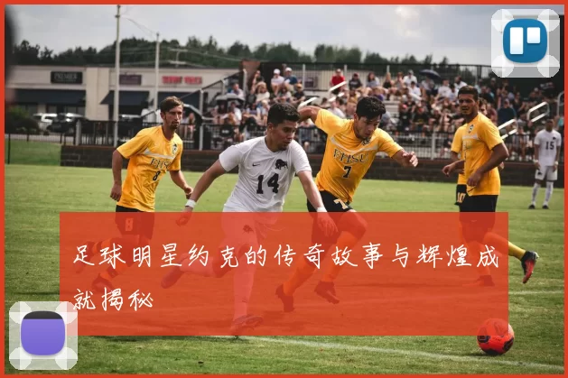 足球明星约克的传奇故事与辉煌成就揭秘