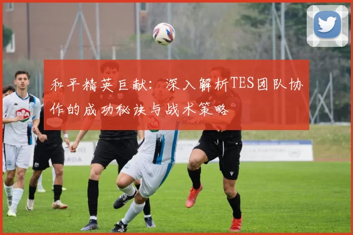 和平精英巨献：深入解析TES团队协作的成功秘诀与战术策略