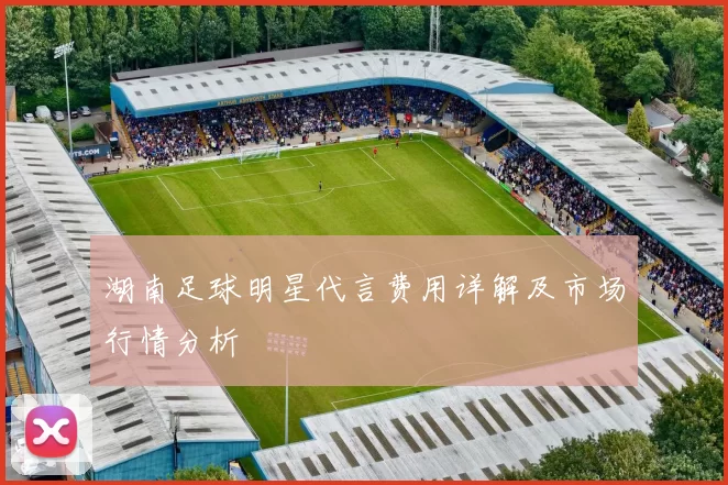 湖南足球明星代言费用详解及市场行情分析