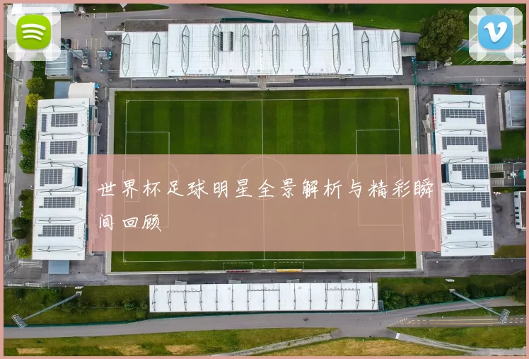 世界杯足球明星全景解析与精彩瞬间回顾