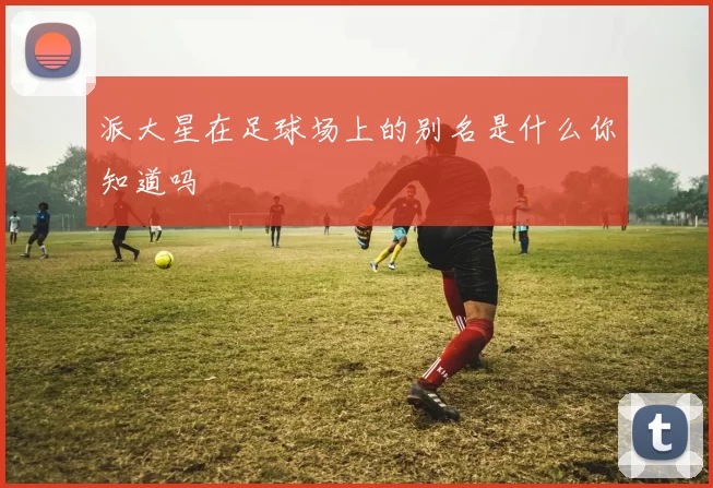 派大星在足球场上的别名是什么你知道吗