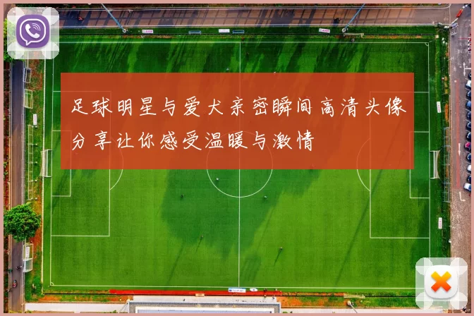 足球明星与爱犬亲密瞬间高清头像分享让你感受温暖与激情