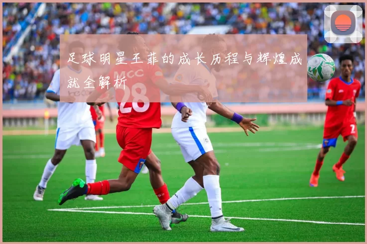 足球明星王菲的成长历程与辉煌成就全解析