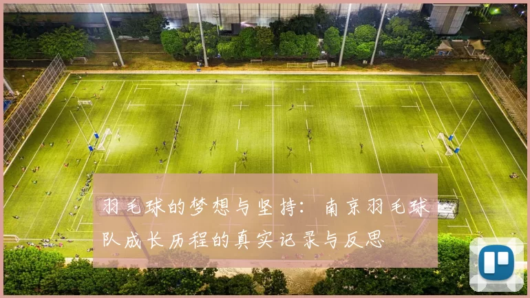 羽毛球的梦想与坚持：南京羽毛球队成长历程的真实记录与反思