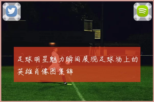 足球明星魅力瞬间展现足球场上的英雄肖像图集锦