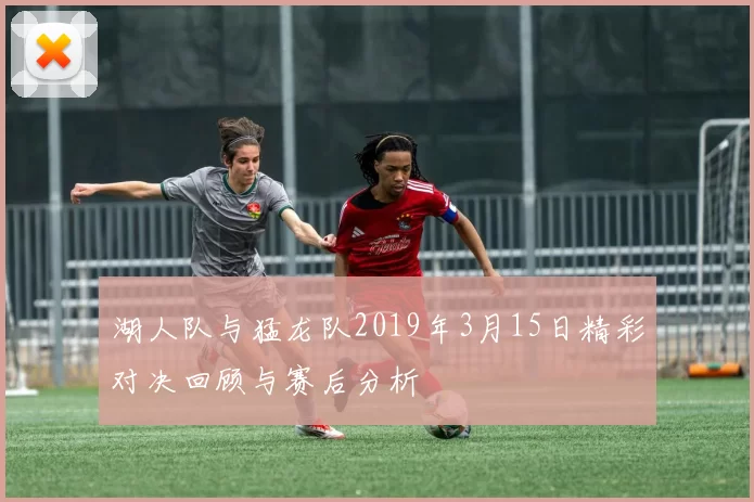 湖人队与猛龙队2019年3月15日精彩对决回顾与赛后分析