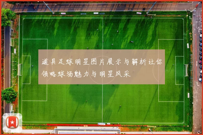 道具足球明星图片展示与解析让你领略球场魅力与明星风采