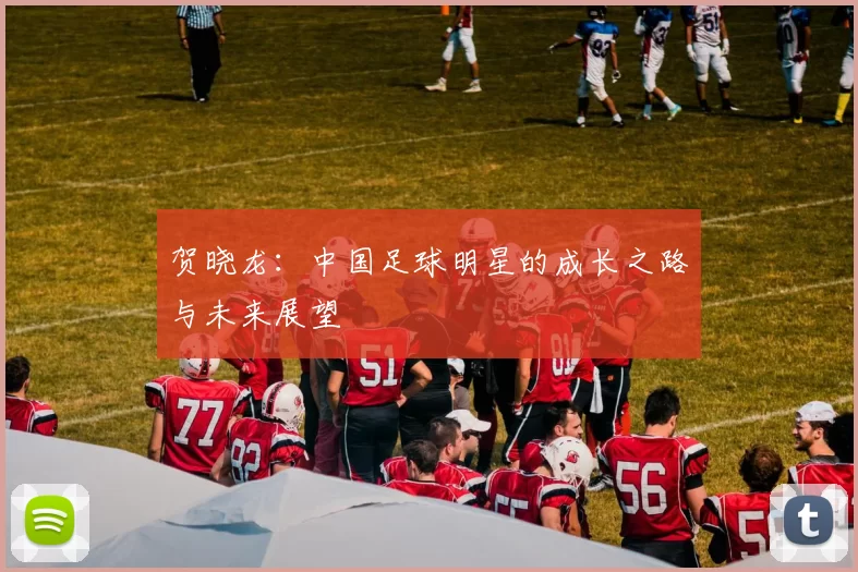 贺晓龙：中国足球明星的成长之路与未来展望