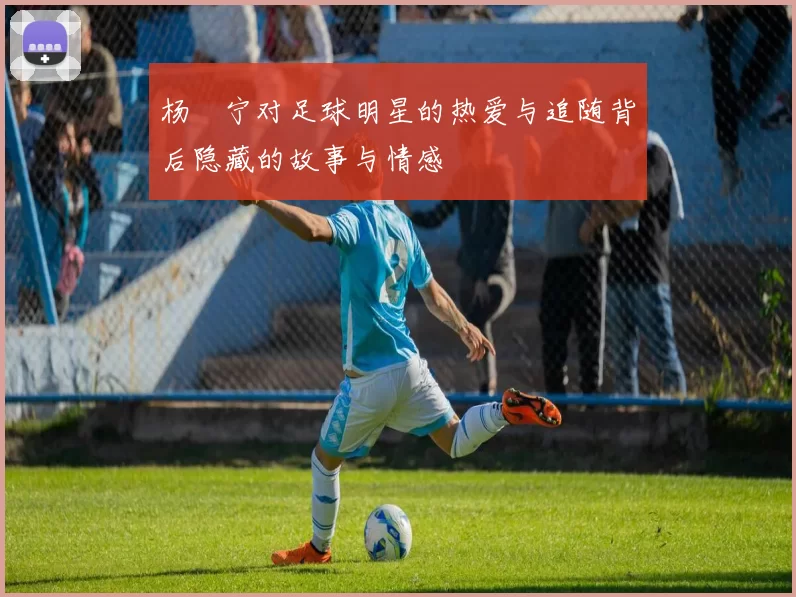 杨祐宁对足球明星的热爱与追随背后隐藏的故事与情感