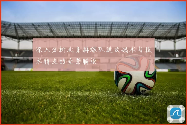 深入分析北京排球队进攻战术与技术特点的全景解读
