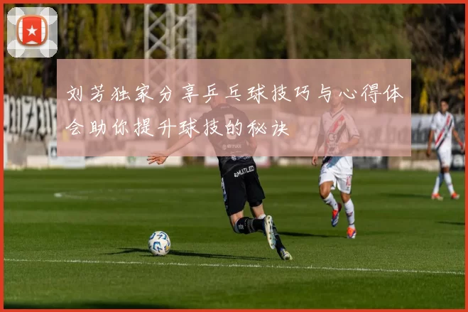 刘芳独家分享乒乓球技巧与心得体会助你提升球技的秘诀