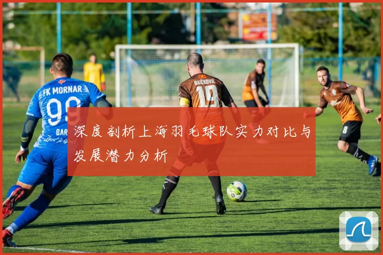 深度剖析上海羽毛球队实力对比与发展潜力分析